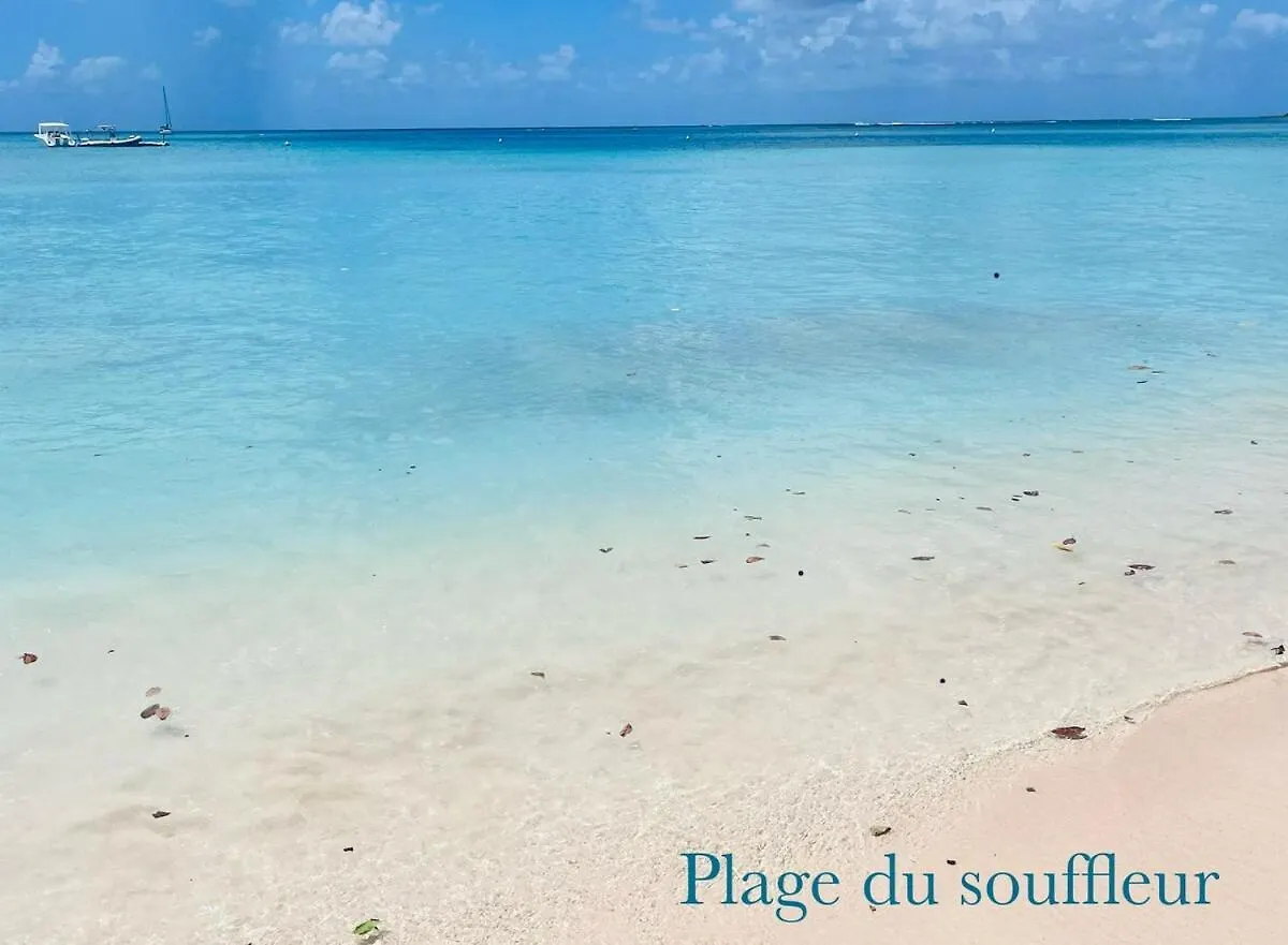 Appartement Studio Le Ti'Mojito, 1St Row, Sea View, Guadeloupe, Saint Anne Sainte-Anne