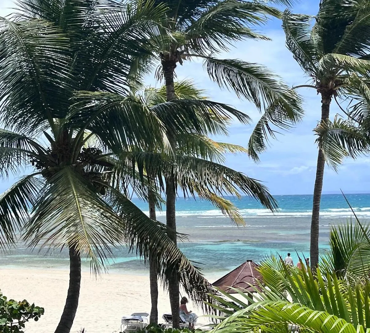 Studio Le Ti'Mojito, 1St Row, Sea View, Guadeloupe, Saint Anne Sainte-Anne  Appartement